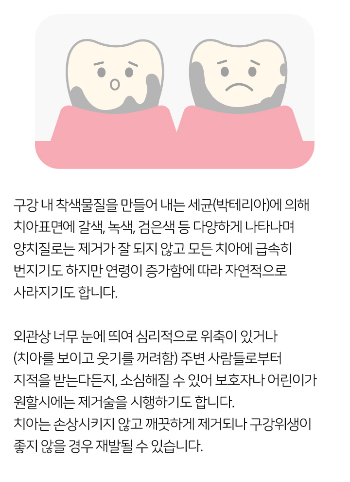 키즈프라임  